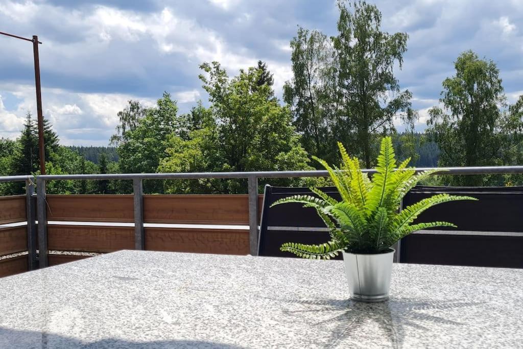 Pool, Sauna & Schwarzwald-Idylle Apartment Unterkirnach Ngoại thất bức ảnh